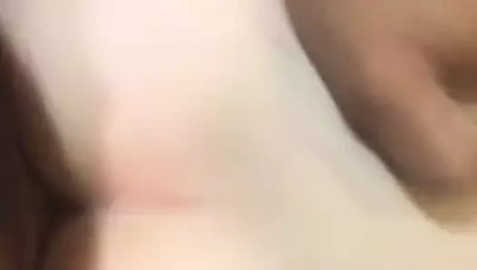 Punjabi sikikleri beyaz civciv