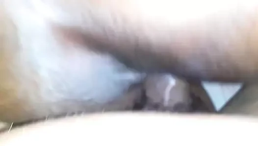 karısı alma köpek