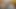 Deepthroat Ve Yeni Penis Oyuncakları Siyah Penisi Sıcak Siyah Penis, Boşalma Becerisi Yapıyor