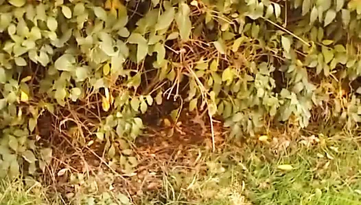 Al, Doreen 18 oyuncu seçmelerine ikna oldu