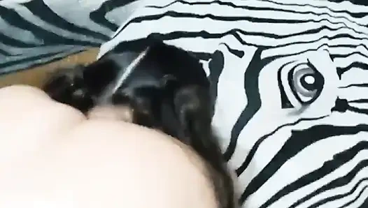 Azgın beni amına 🥵 sokuyor