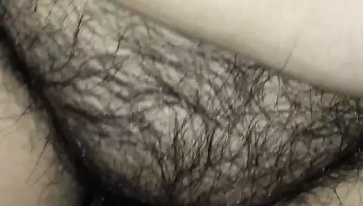 chatte poilu jador ca