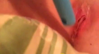 kedi içinde fırça