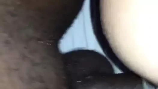 Beyaz eş köpek stili tarafından bbc