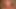 Penny Pax tüm doğal göğüslerinde döl yakalıyor