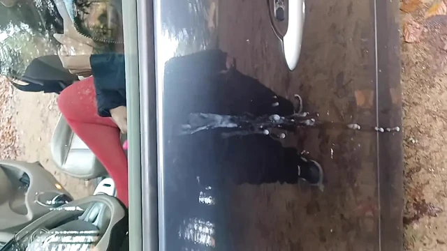 Bir park yerinde park ediyorum ve erkekler arabamda meyve sularını çıkarıyor