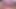 Tasha Reign doğum gününde Rikki Six'i sikiyor!