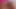 İki evli çiftle pembe yatak odasında dörtlü parti
