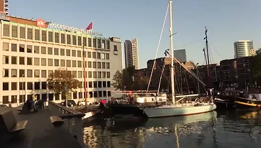 Çılgın Latin adım anne