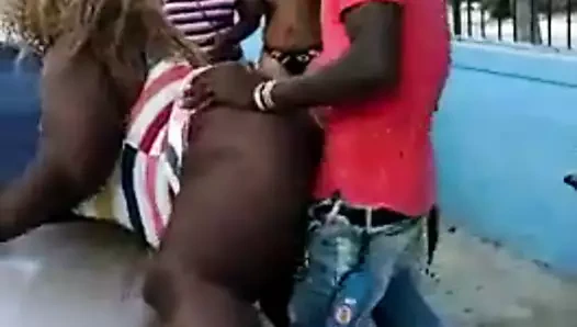 Dik jamaican sikme içinde kamu