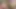 Surprise for the Good Boy Dirty Panty Pervert with Big Cock