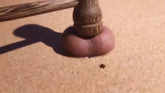Mantar masasında