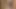 Ateşli kızlar Brittany Andrew ve Daisy Harper, Pablo Ferrari'nin yarağını sağıyor!