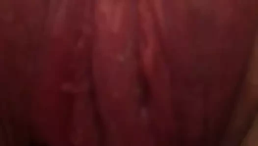 Kediyi dışarı itmek