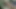 Ben oral seks yaparken sürtük ağzıma güzel geliyor ve heyecanlanıp çok iyi titriyor.