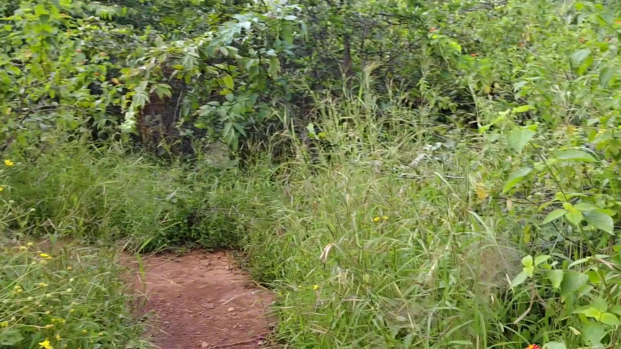 आज हम सौतेली बहन के साथ कुत्ते शैली की स्थिति में चुदाई कर रहे हैं