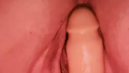 Şişman kedi mastürbasyon