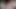 Beyaz kız tavşan fotoğraf çekiminin ortasında yarak emiyor