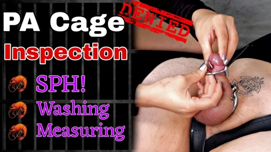 Kadın egemenliği bekaret kafesi prens albert demo azdırıyor sph aşağılama kadın hakimiyeti gerçek ev yapımı orta yaşlı seksi üvey anne