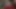 Hintli genç kız Hintçe hd seks videosunda fışkırtıyor
