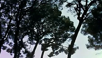 Zevk için retro pasaport