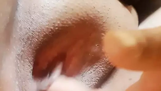 yakın yukarı solo KEDİ oyun