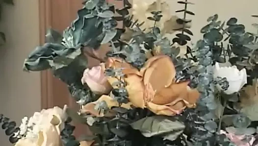 Yunng Mexican Debutantes #04