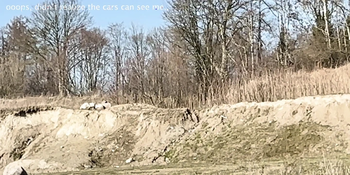 Teşhirci genç çıplak görülüyor