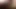 Zibmusser kedi krem ​​alaca tarafından anon rutgers öğrenci