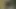 Vahşi doğada en iyi seks pozisyonlarının derlenmesi 18+