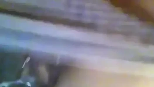 Büyük sulu dudaklı sıska Afrika kaltak