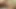 amatör gay oynar ile onun küçük horoz süre gösterme kapalı onun