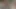 Büyük çük için ona sıkı kedi