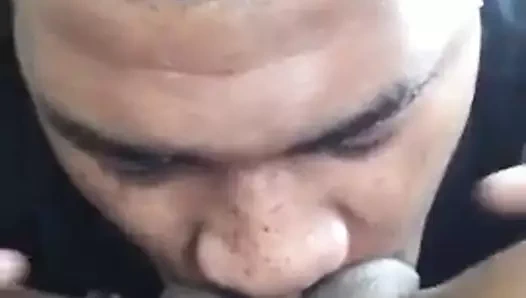 Siyah kedi yeme ve fışkırtma yapma