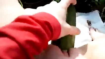 Açık kedi eğlence