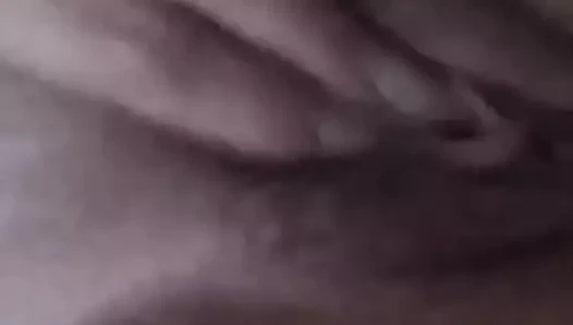 oynamak ile benim kedi