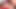 Japon hirota sakura kıllı amına dildo soktuğunda inliyor, sansürsüz.