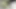 18+ Şişman adamla seks yapılan güzel kız
