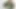 Kelepçeler, vibratörler, anal. Onlyfans için birçok fetiş