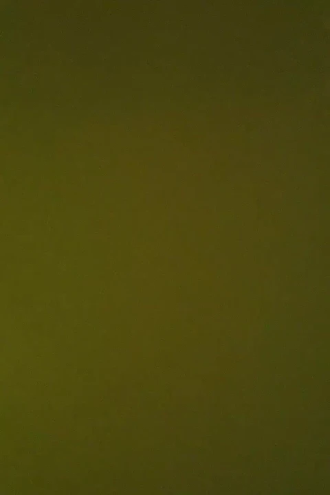 Hintli tamil üvey kız üvey babasını baştan çıkarıyor ve biniyor