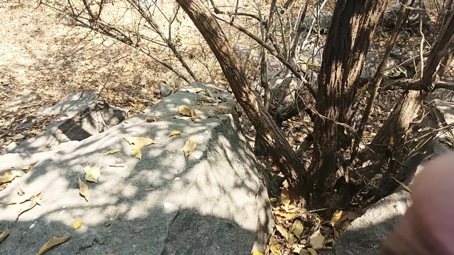 Tamil oğlan ormanda kadınların seksini teşhirini bekliyor