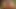 Ava Devine, Dragonlily ve Chynawhite