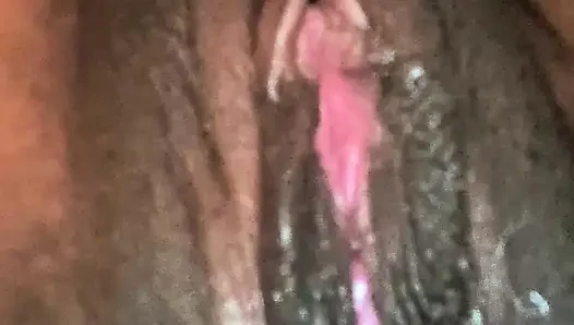All My Pussy