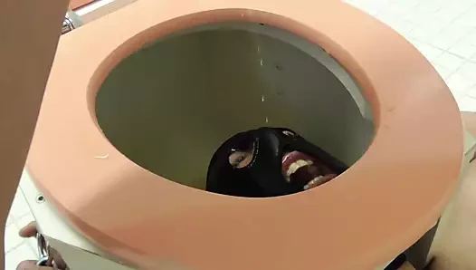 köle maskjoe boğma kutusunda altın duş almak