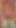 Everyday object