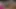 Şanslı adam içerik partisinde 2 Alman amatör orta yaşlı seksi kadınla sikişiyor