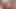 3784943116.mp4