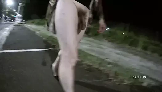 Halka açık 38 gece yürüyüşü ve boşalma