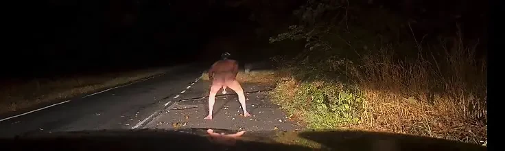 Yol kenarında tamamen çıplak otuzbir çekmek. Kamyonete gösteriş yapmak