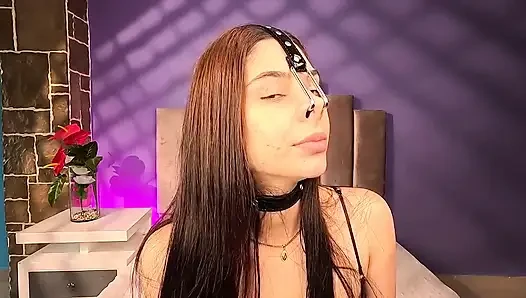 Arpone Pig Nose